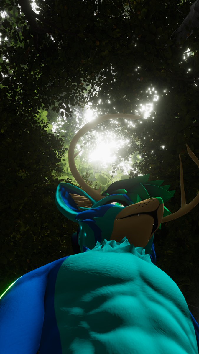 Native Howls 🔜 AC, ASC, ACFI tweet media