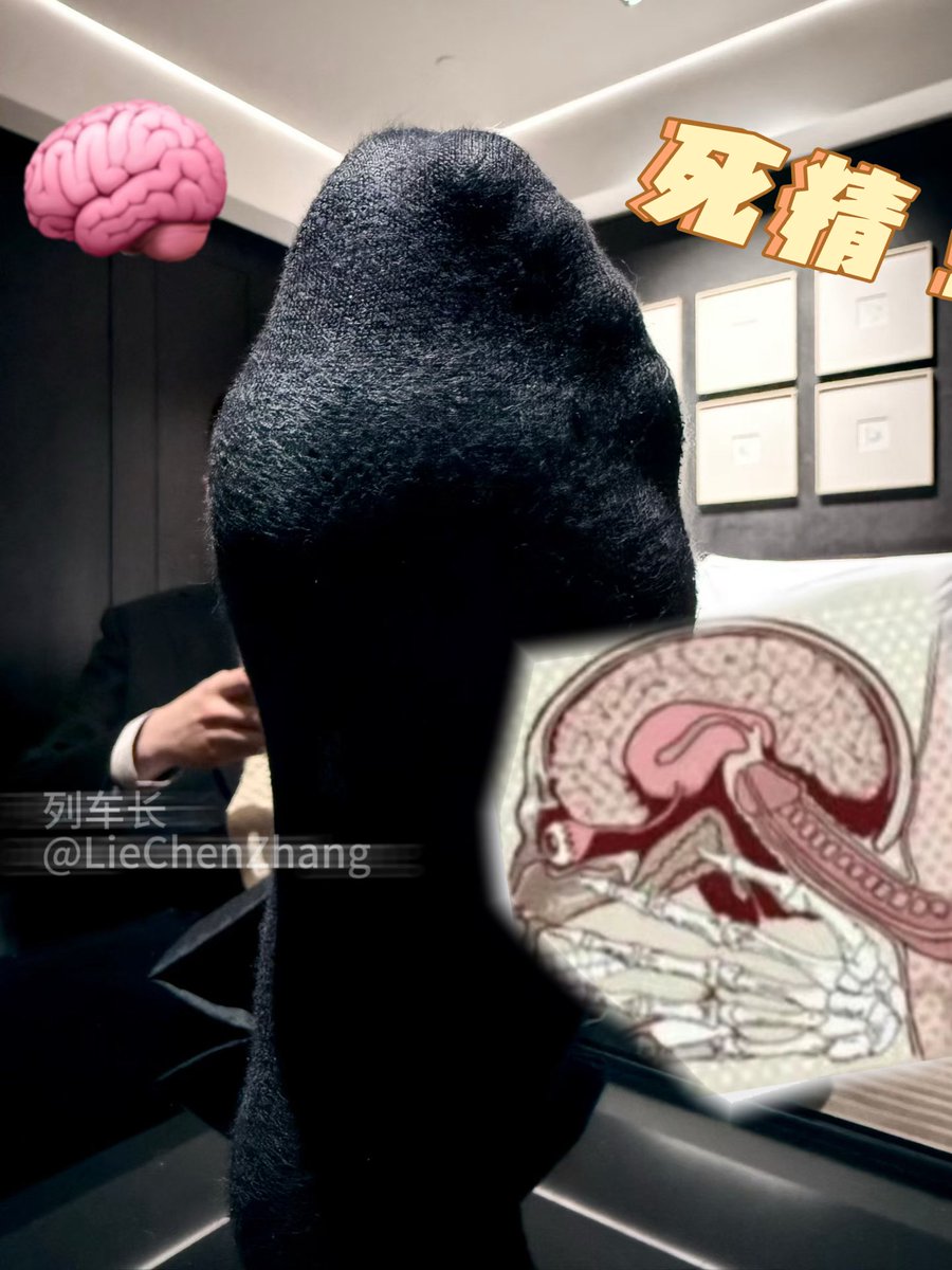 收个私奴，摧毁猪脑🧠