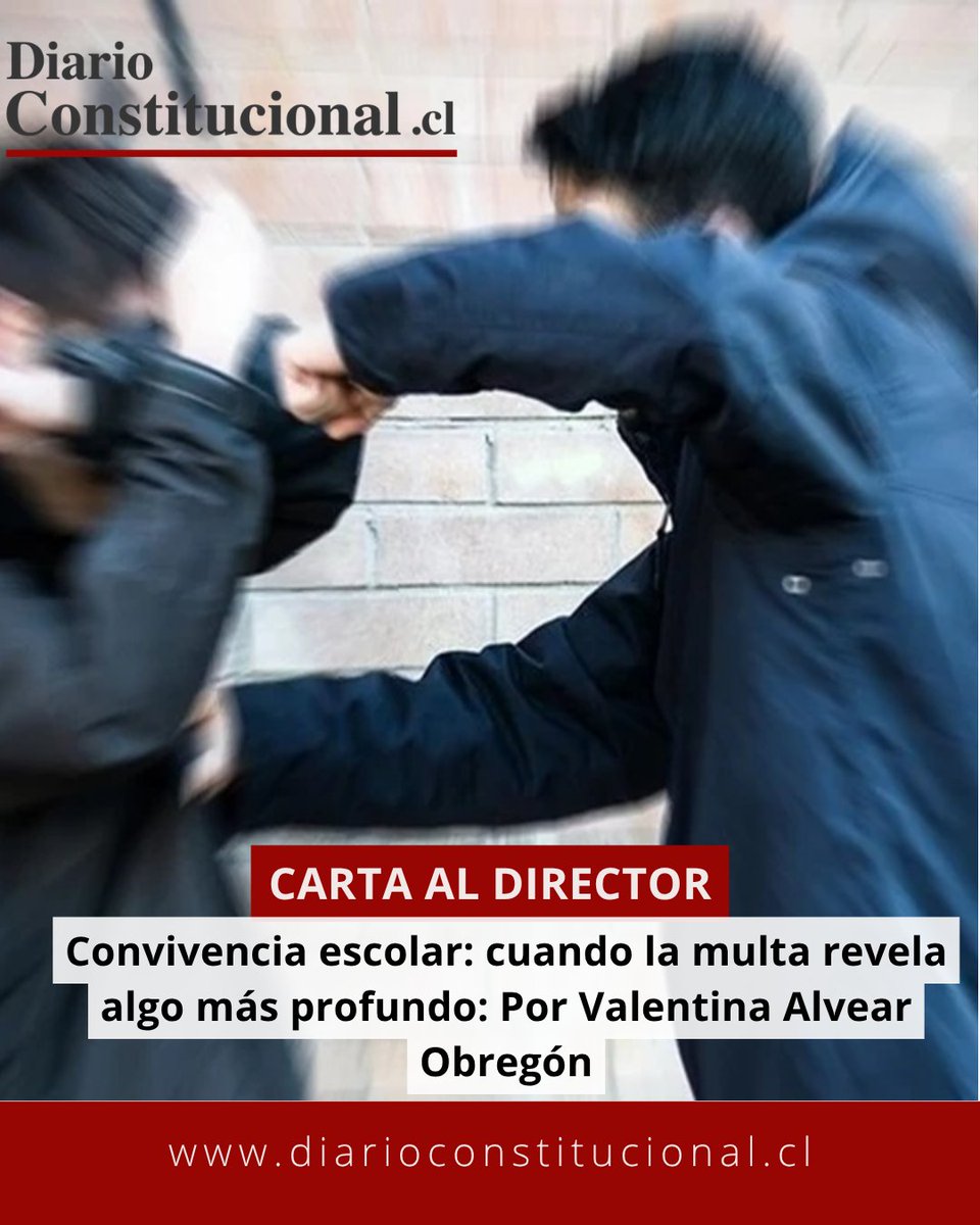 DiarioConstitucional tweet media