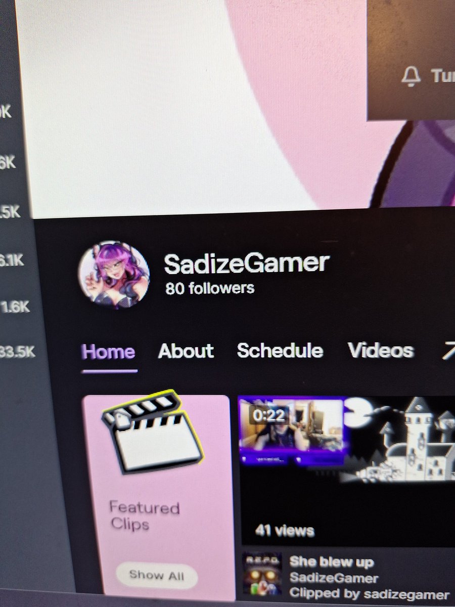 SadizeGamer tweet media