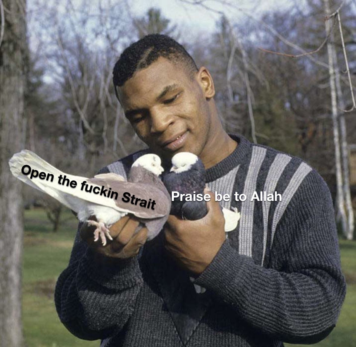 Gulf of America’s Geologist tweet media