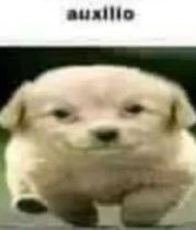 𝑷𝒖𝒍𝒈𝒂 (Certificated Olivine's lover)💚🥀 tweet media