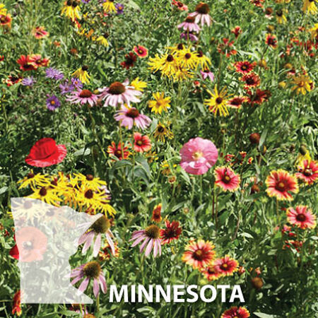 Minnesota is paying residents to replace their lawns with native wildflowers, clover, and pollinator habitat.

The program has been running since 2019 and, with nearly 10,000 projects completed, 11 million square feet of pollinator habitat has been created across all 87 counties.
