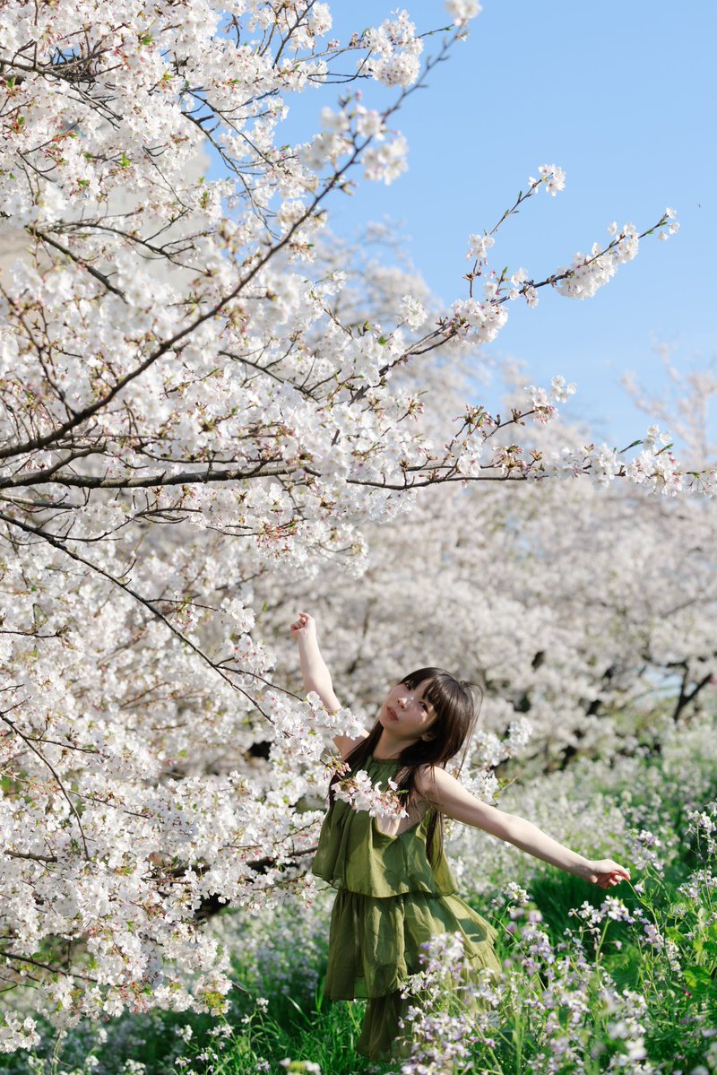 tundora@5/27～6/5 JPS展 東京都写真美術館 B1F展示室 tweet media