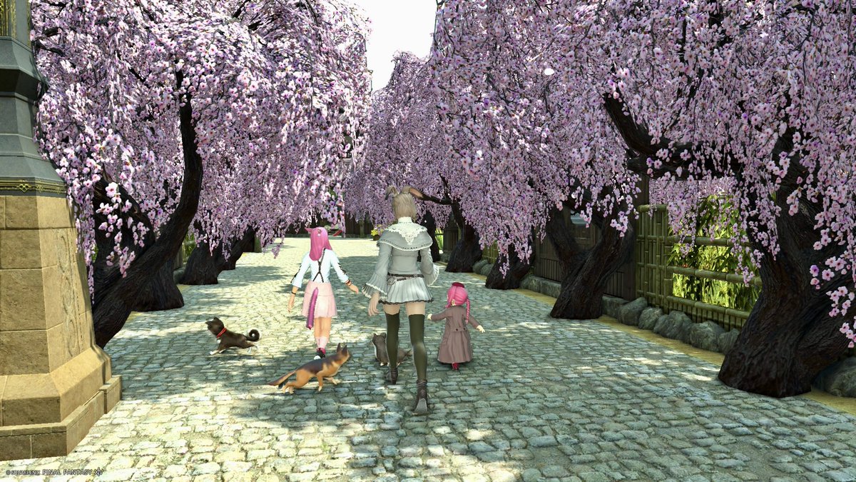 yui miyan★彡Asura tweet media