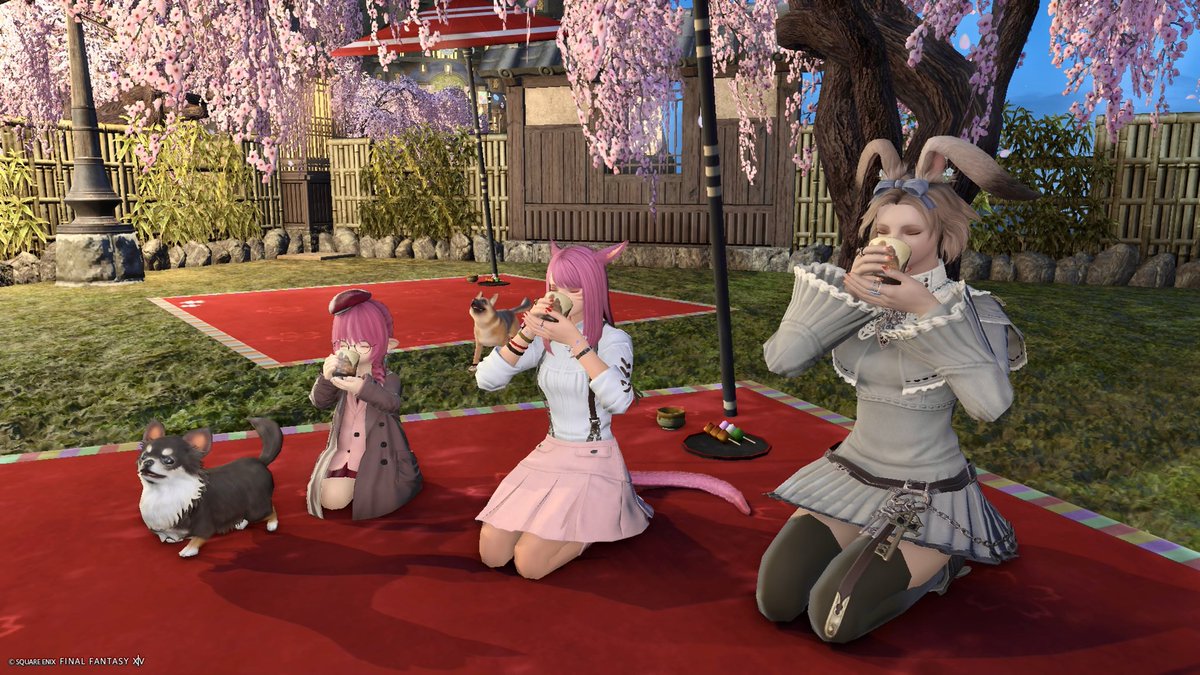 yui miyan★彡Asura tweet media