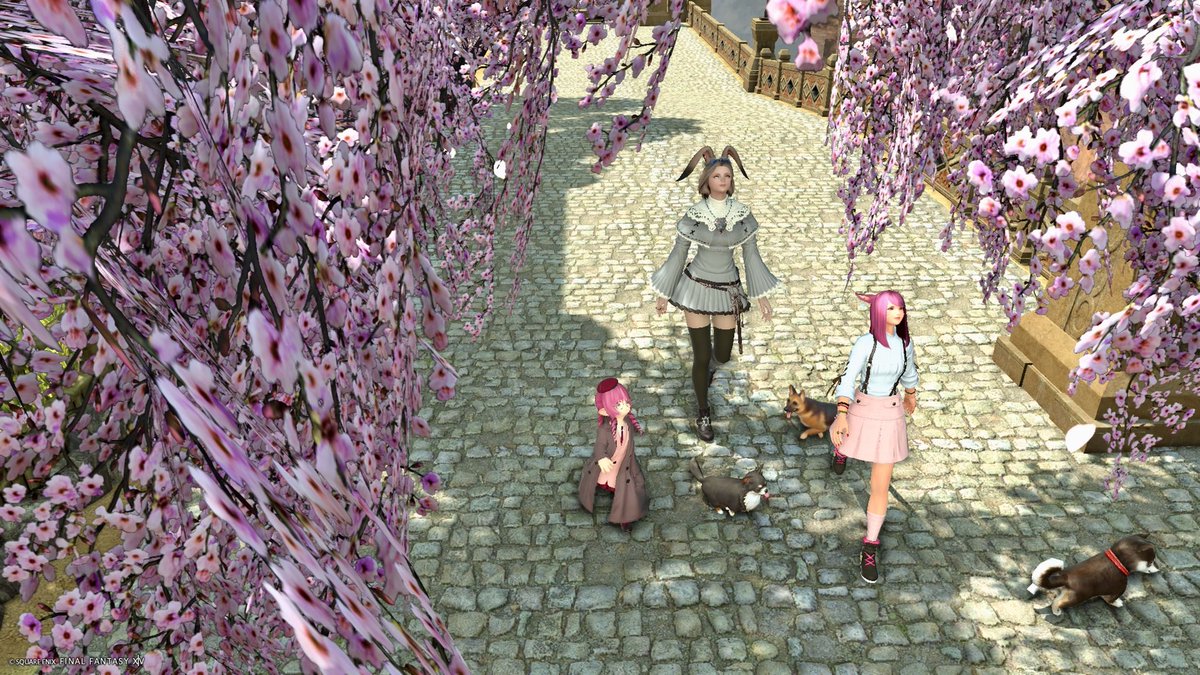 yui miyan★彡Asura tweet media