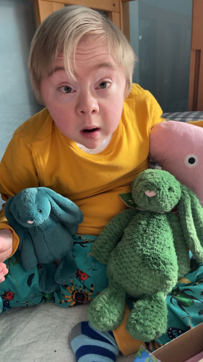 Aisling McNiffe 🇵🇸 🇺🇦 🏳️‍🌈🏳️‍⚧️ tweet media