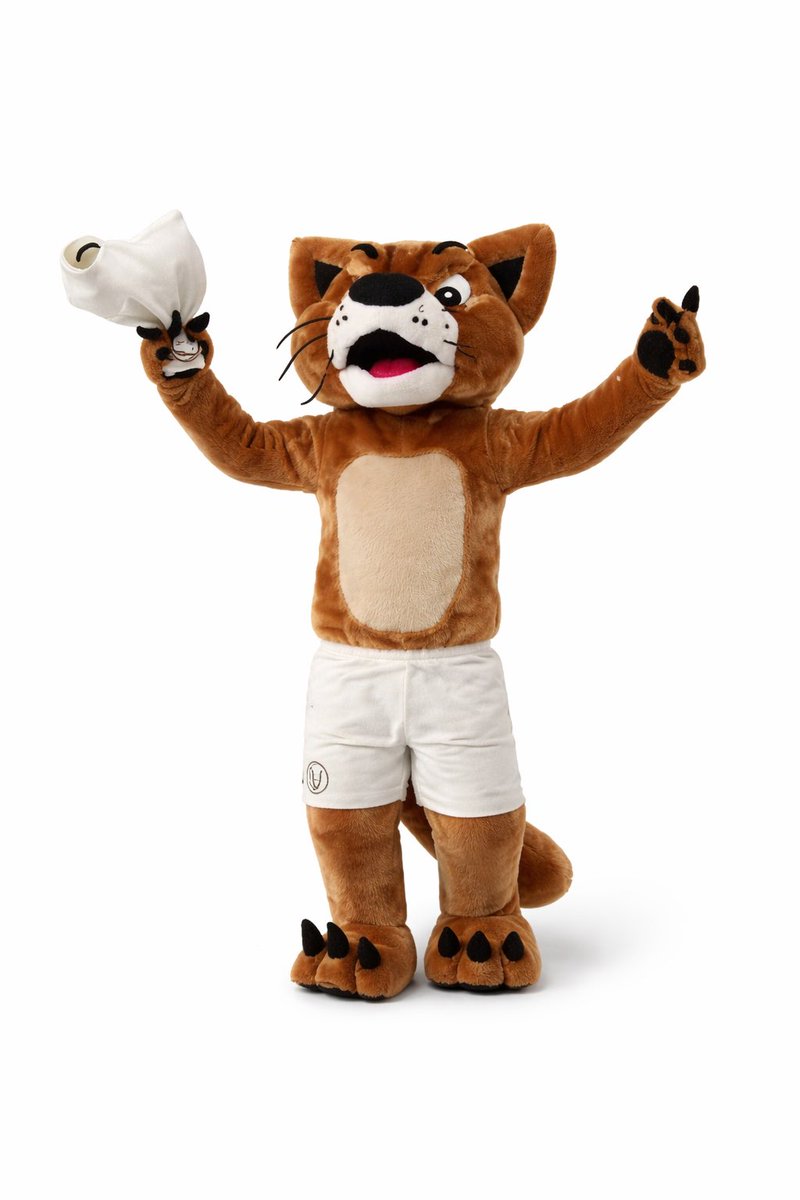 Pluma_Crema tweet media