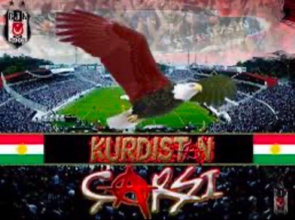 Furgen yalçın 🐎 tweet media