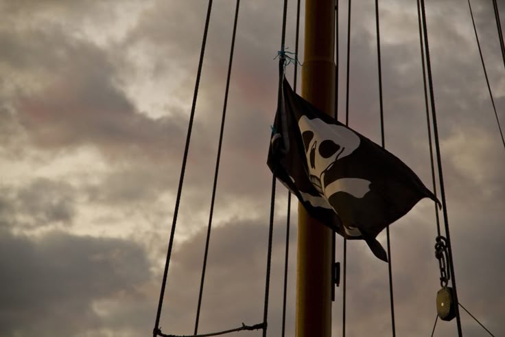 Patrycja 🌘|| ɪ'ᴍ ᴄᴏᴏᴋᴇᴅ ᴇʀᴀ 💀🛐🐈‍⬛ tweet media