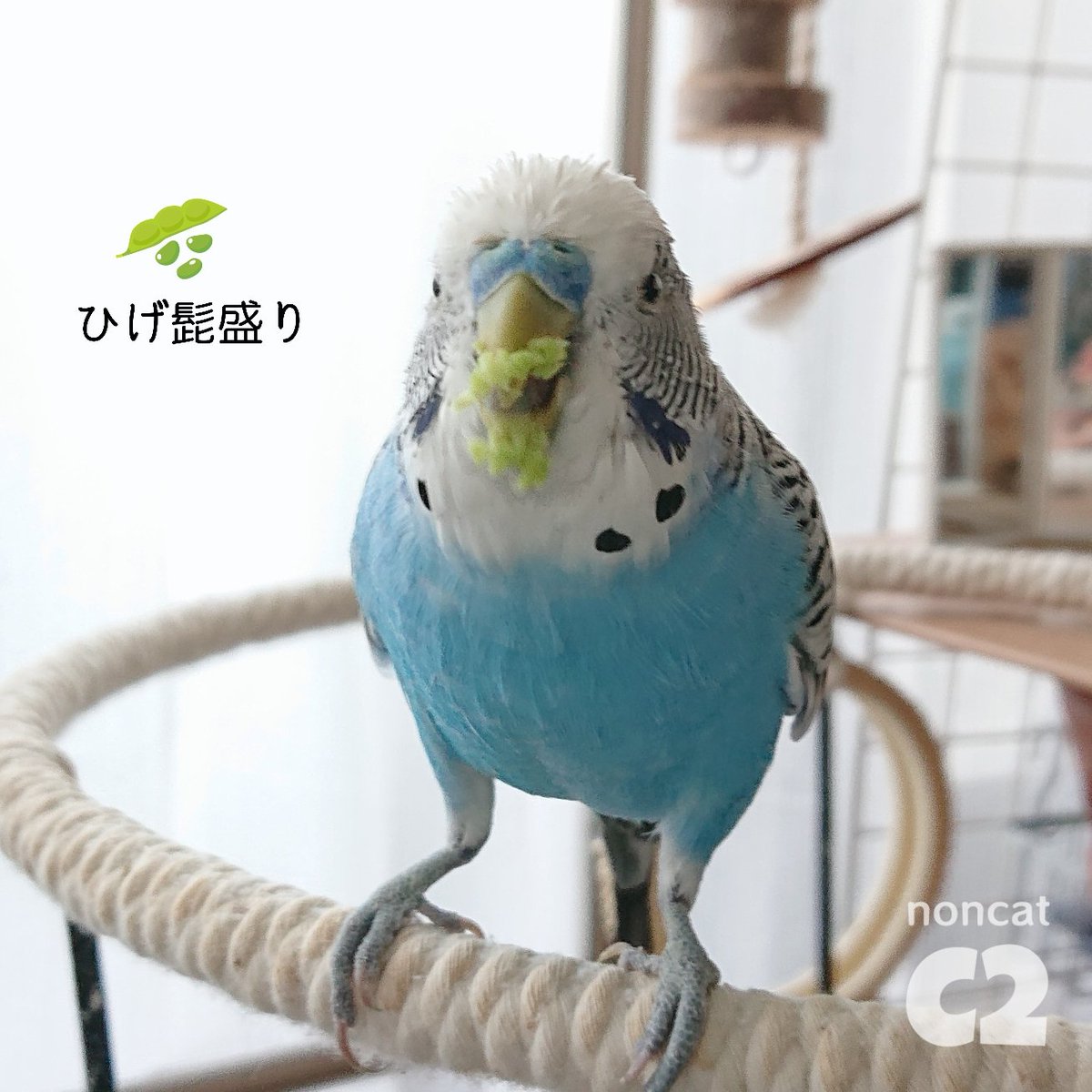 ノンママ tweet media