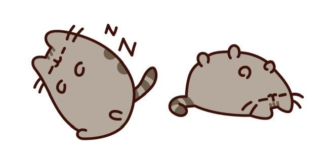 jack 🐇 tweet media