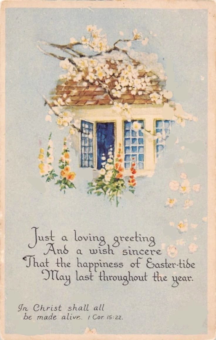 Mother Trumper tweet media