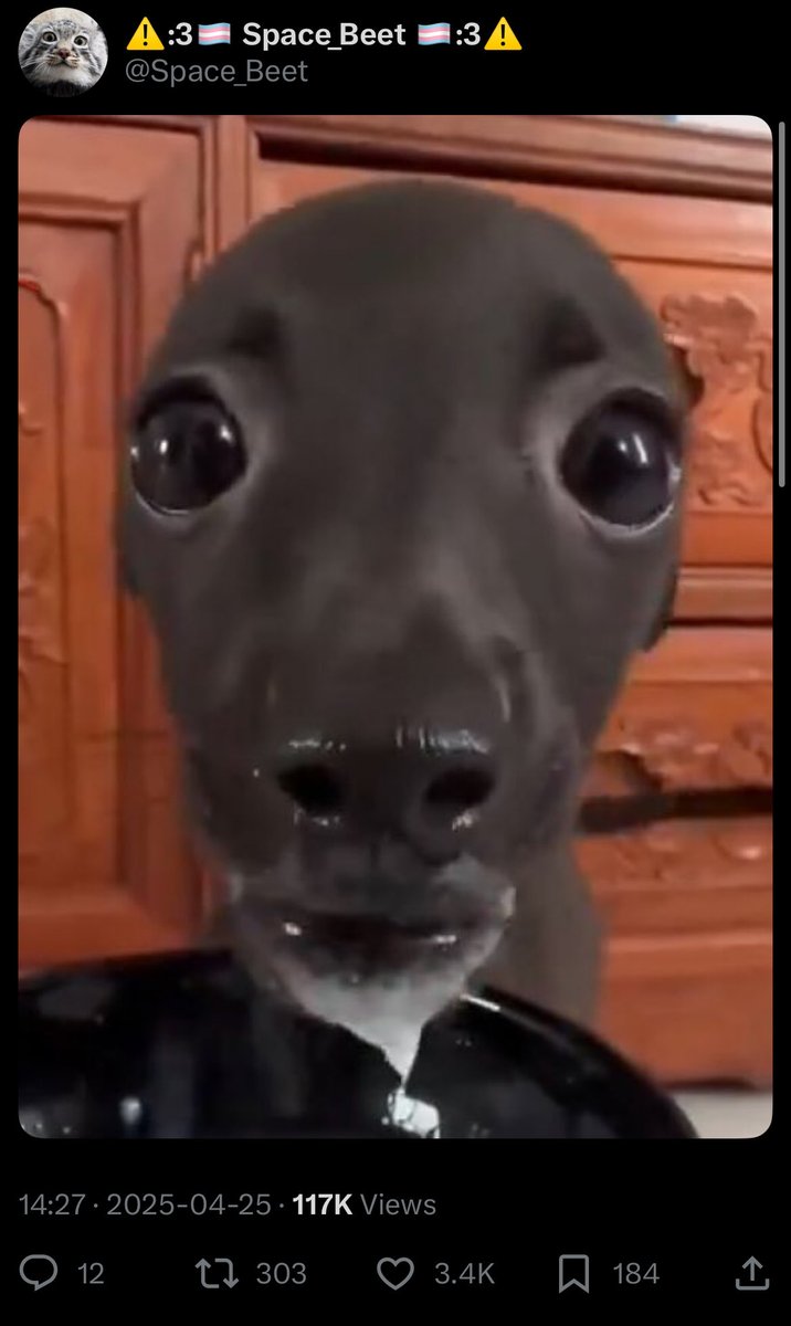 ⚠️:3🏳️‍⚧️ Space_Beet 🏳️‍⚧️:3⚠️ tweet media