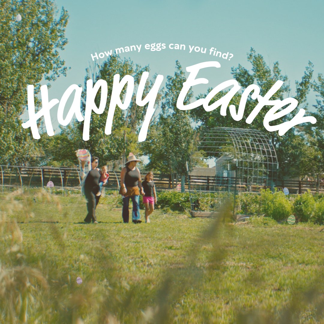 Visit Fallon tweet media