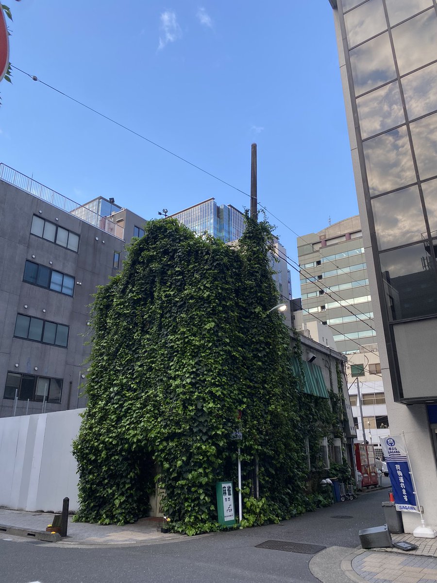 今日から新しい現場が本格的にはじまる。
6月末に修羅場になる予定w
職長は大尊敬する相棒イケメン白髪K氏、例のいわく付き朱色レスポールの前の持ち主でもある。

がんばろ🔥！

写は現場じゃないよ、現場近くのw