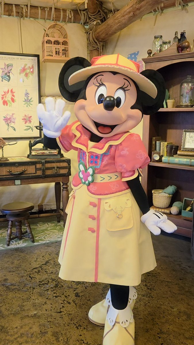 菊の魔術師　Japan tweet media