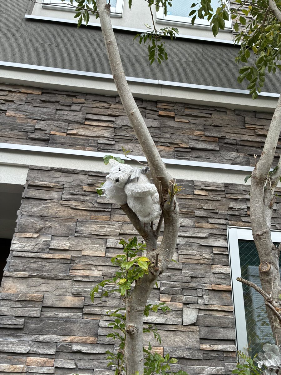 そらみ tweet media