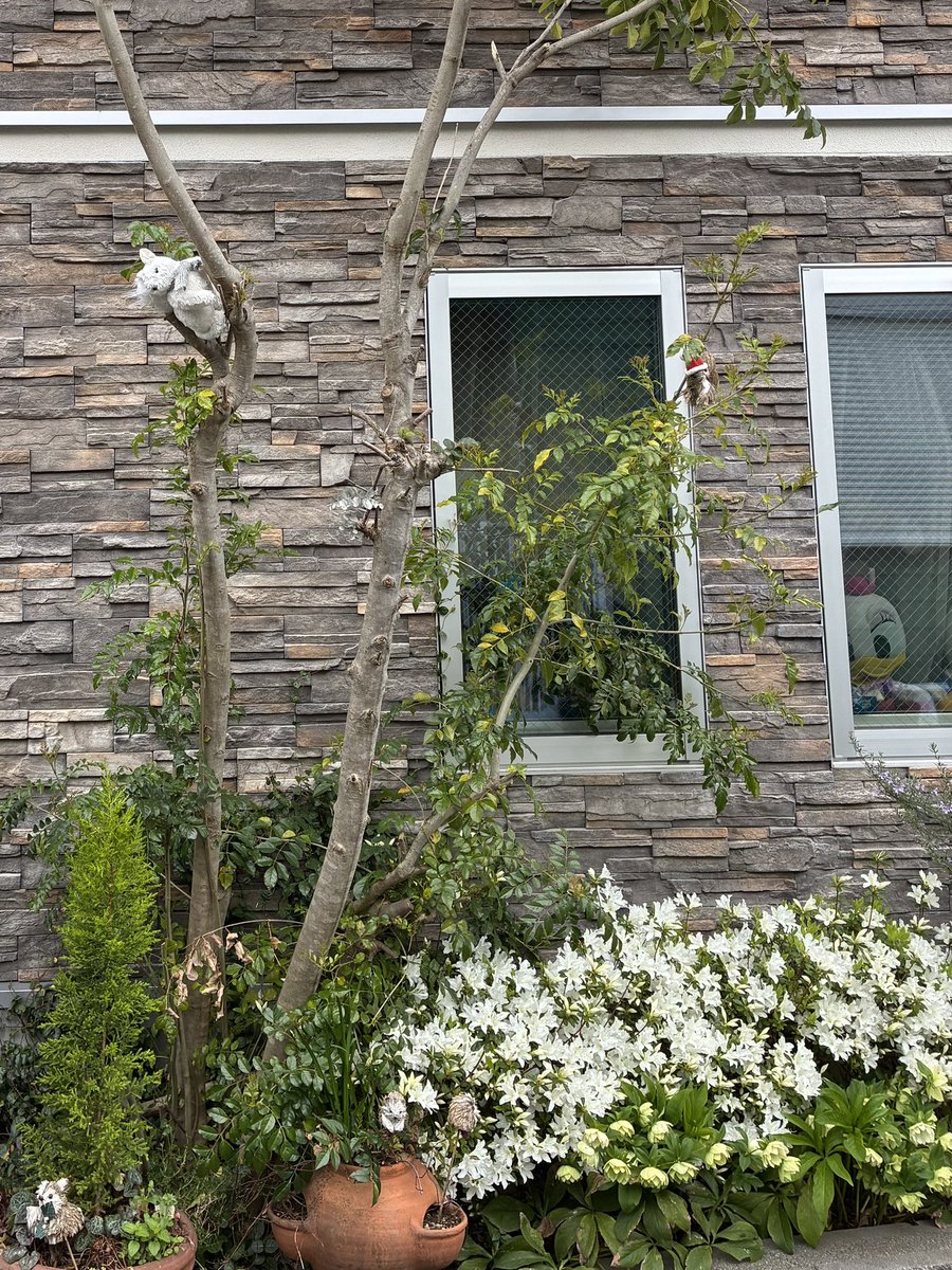 そらみ tweet media