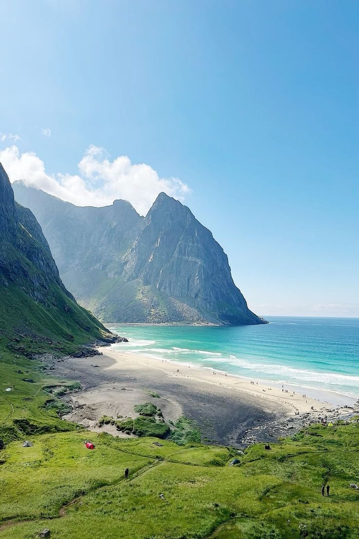 Walking Warrior tweet media