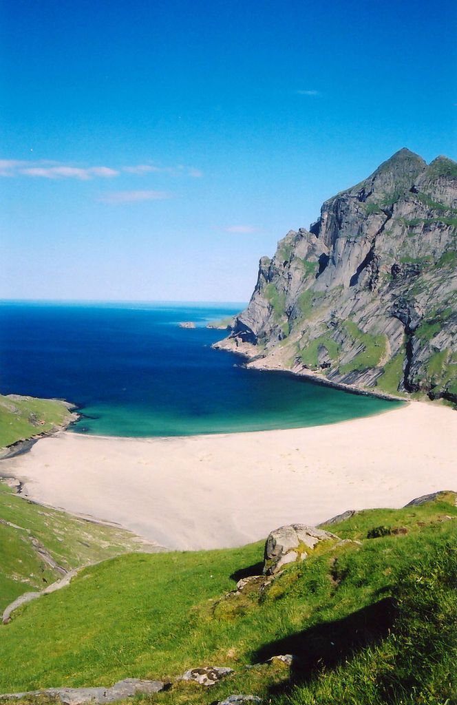 Walking Warrior tweet media