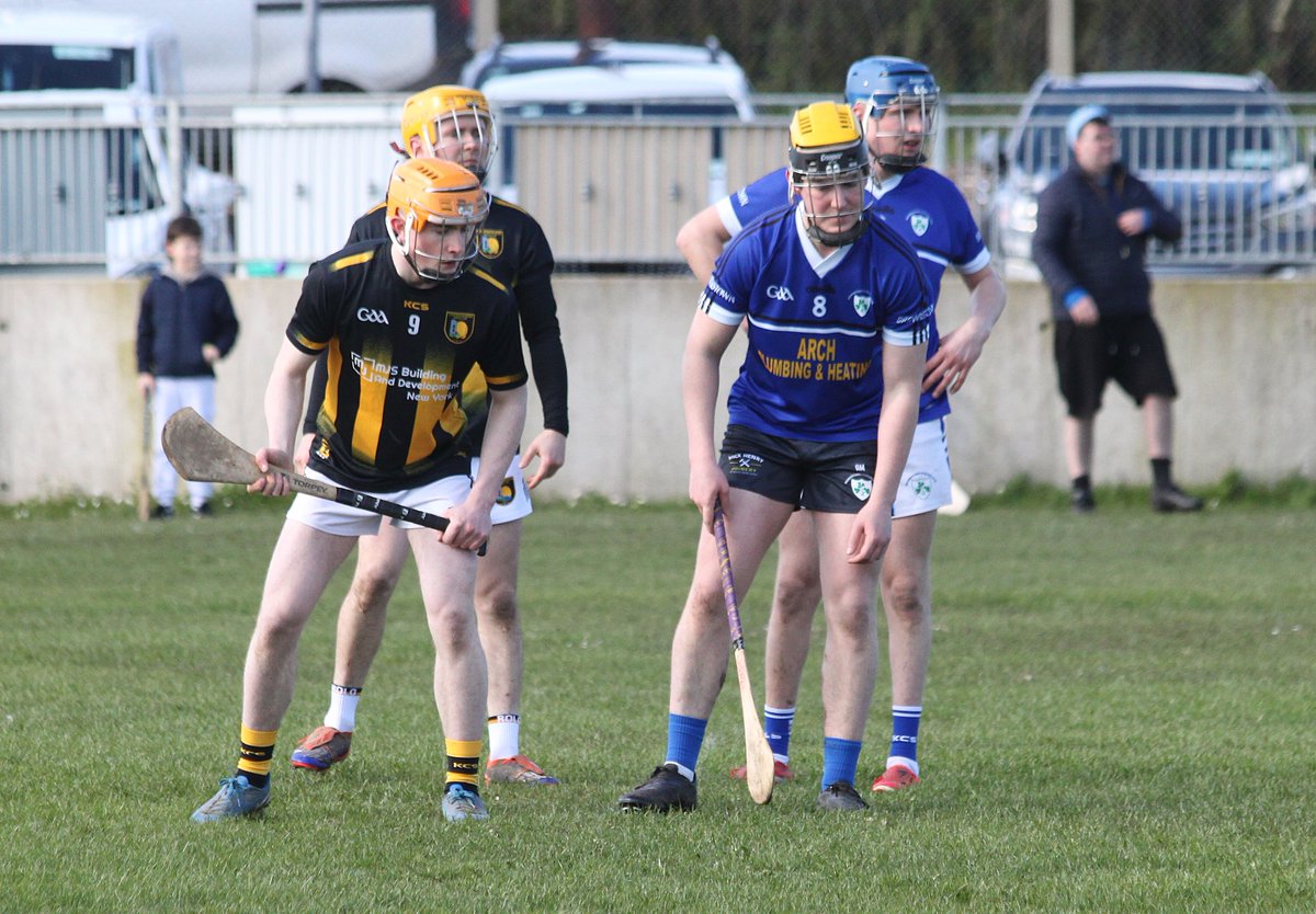 Brownstown Hurling Club tweet media