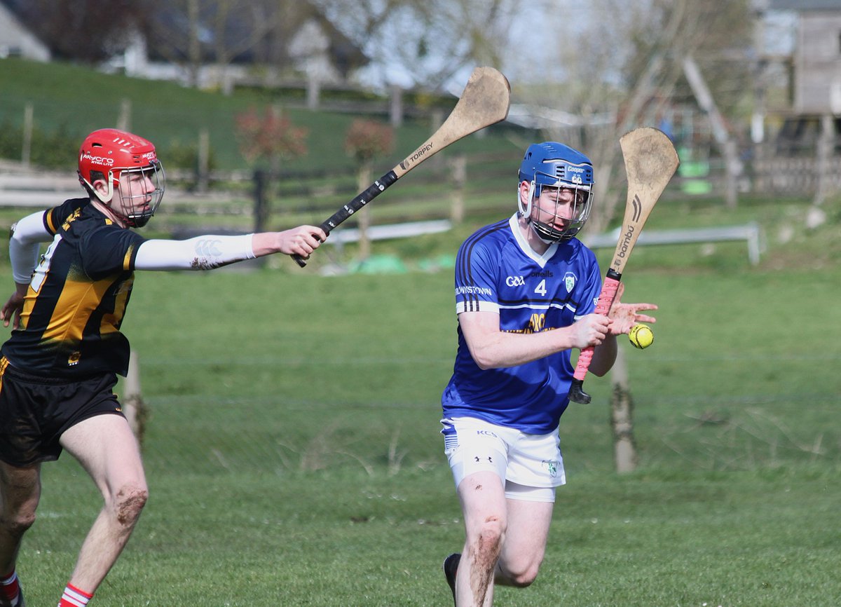 Brownstown Hurling Club tweet media