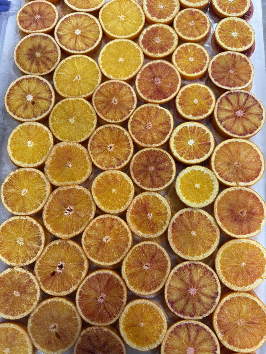 畠山　和也@フキアージュのオーナー tweet media