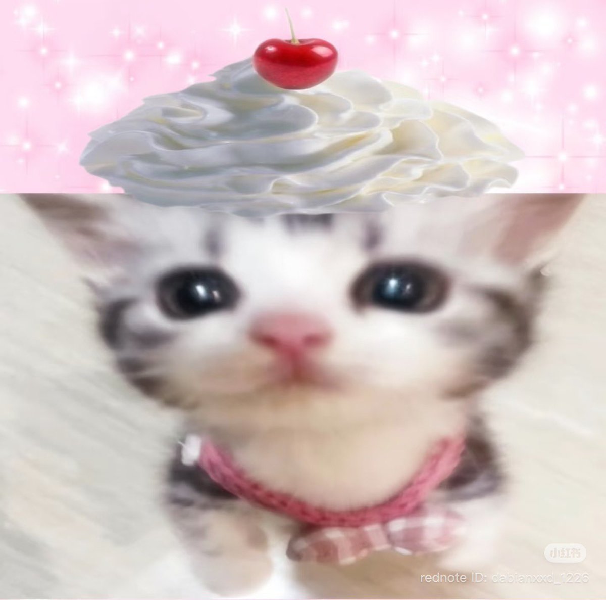 rei | ENHYPEN IS 7 tweet media