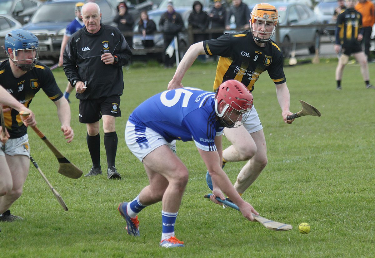 Brownstown Hurling Club tweet media