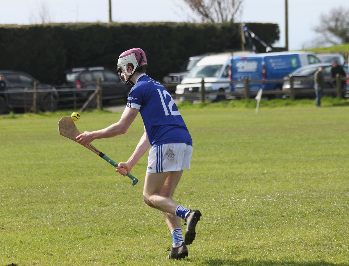 Brownstown Hurling Club tweet media