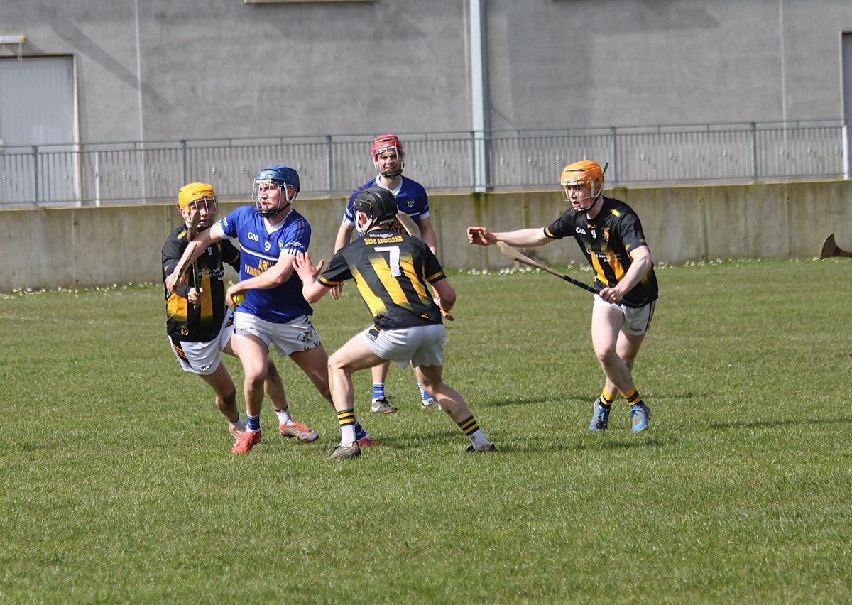 Brownstown Hurling Club tweet media