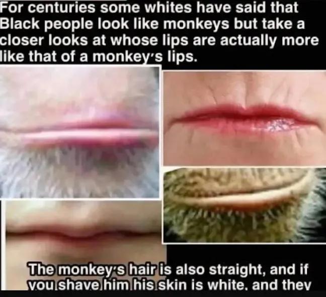 AdorePFunk tweet media