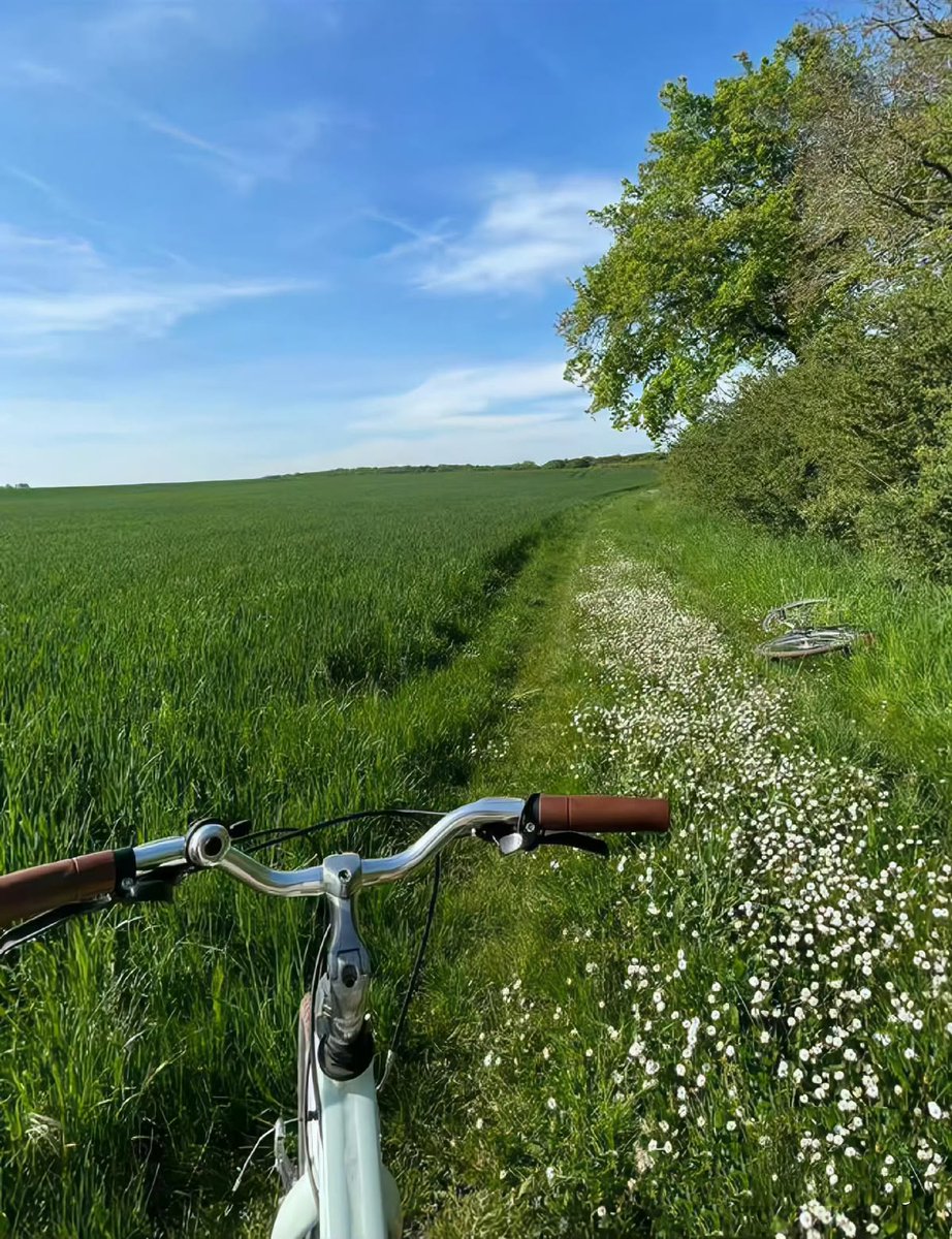 ᅠ ᅠ (@greendreaams) on Twitter photo 