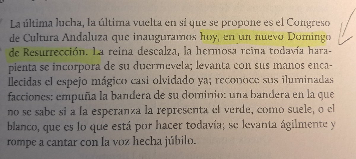 Manuel Ruiz Romero🇯🇴 tweet media