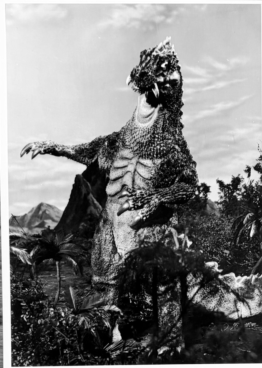 東野さとし（さんちゃん） tweet media