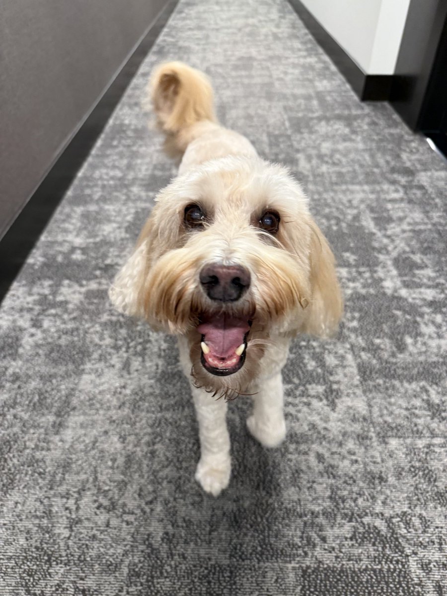 Adam McCue tweet media