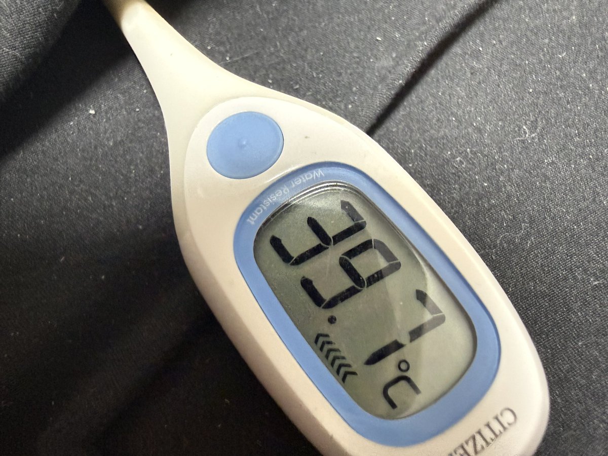 グレープ tweet media