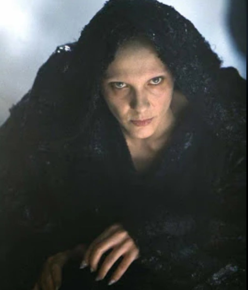 mrphillipchan 🥚🇺🇲 tweet media