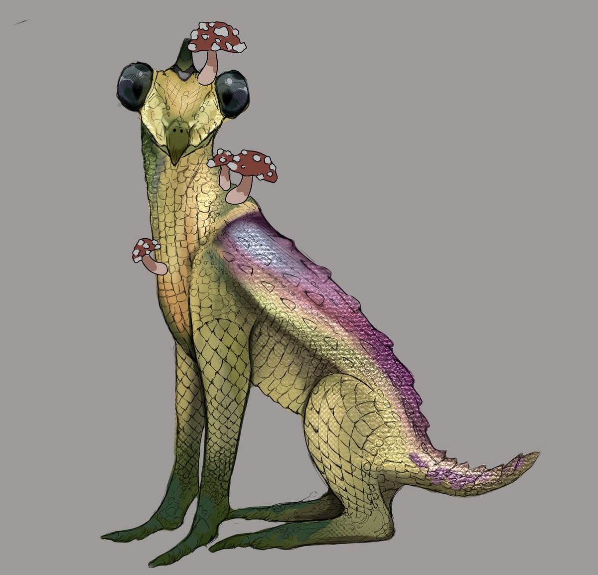 Bun 🤍🐰 tweet media