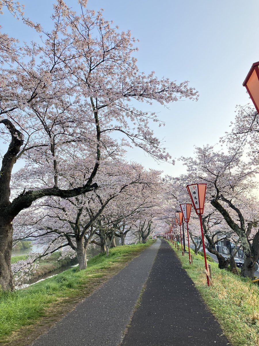 クロウ tweet media