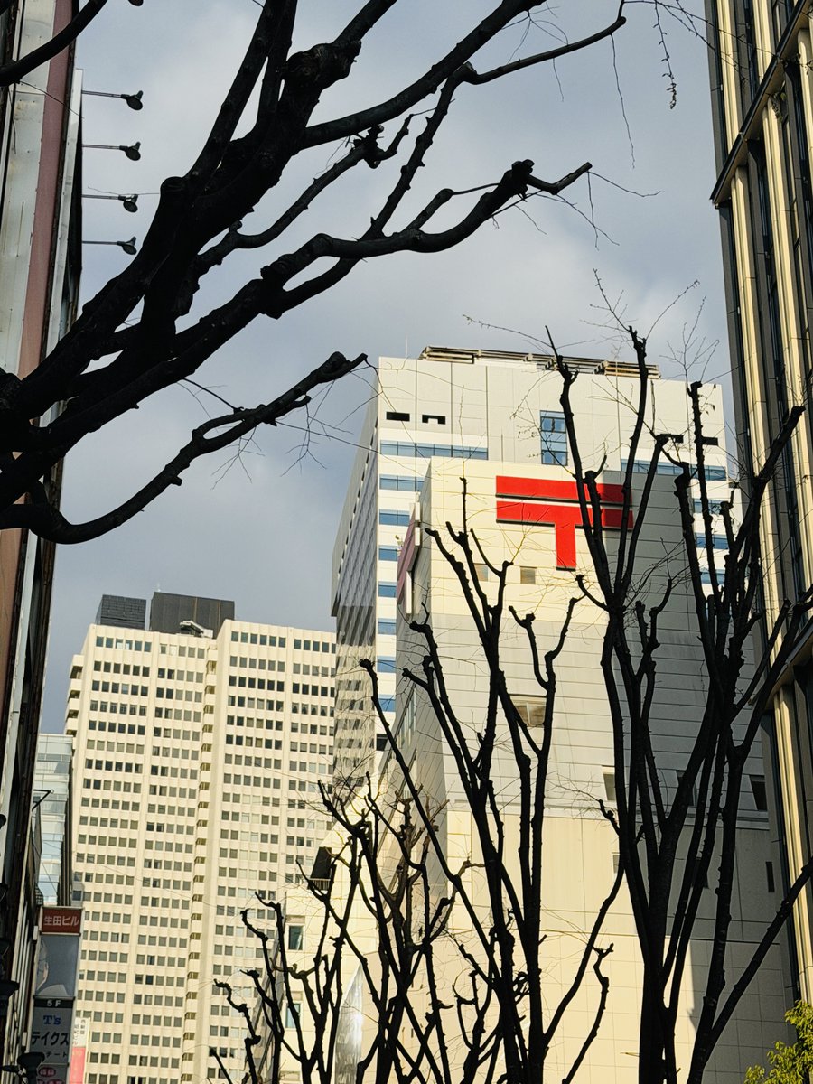 澤田育子 tweet media