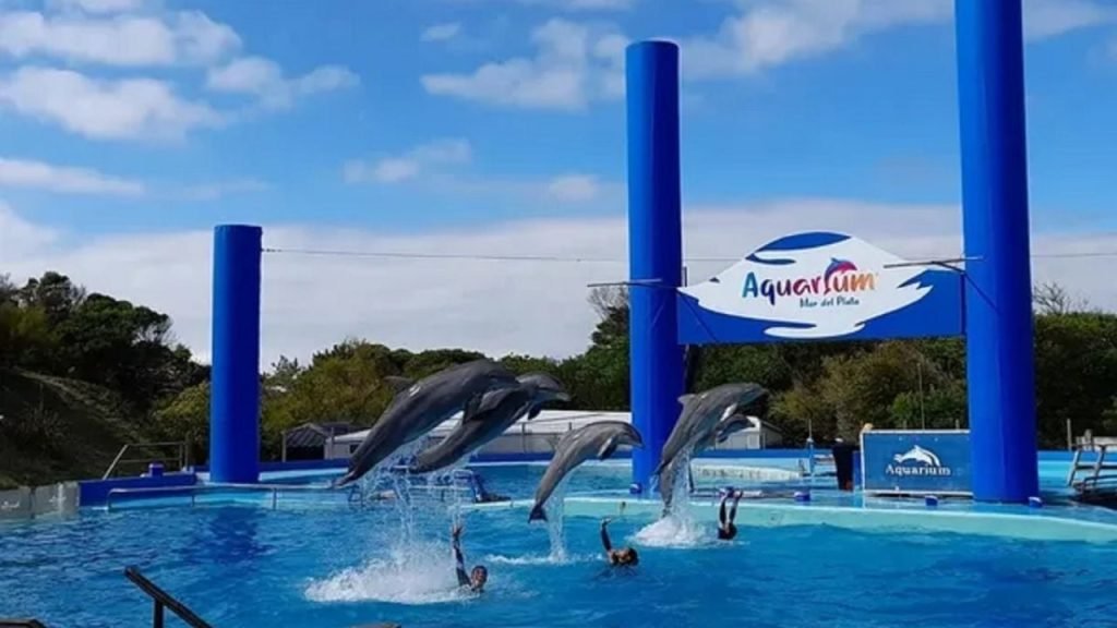 Observa 360 tweet media