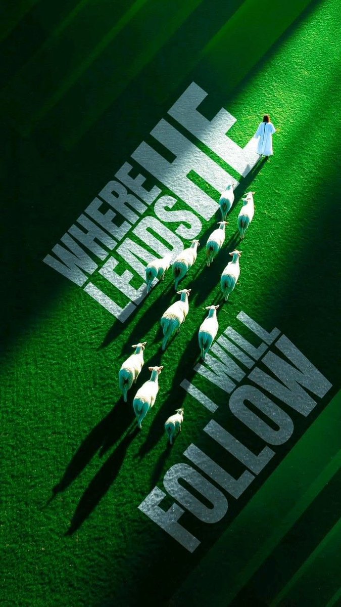 iPhone Wallpapers tweet media