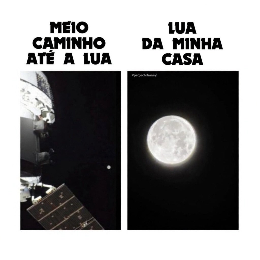 Paladin 🎖 tweet media