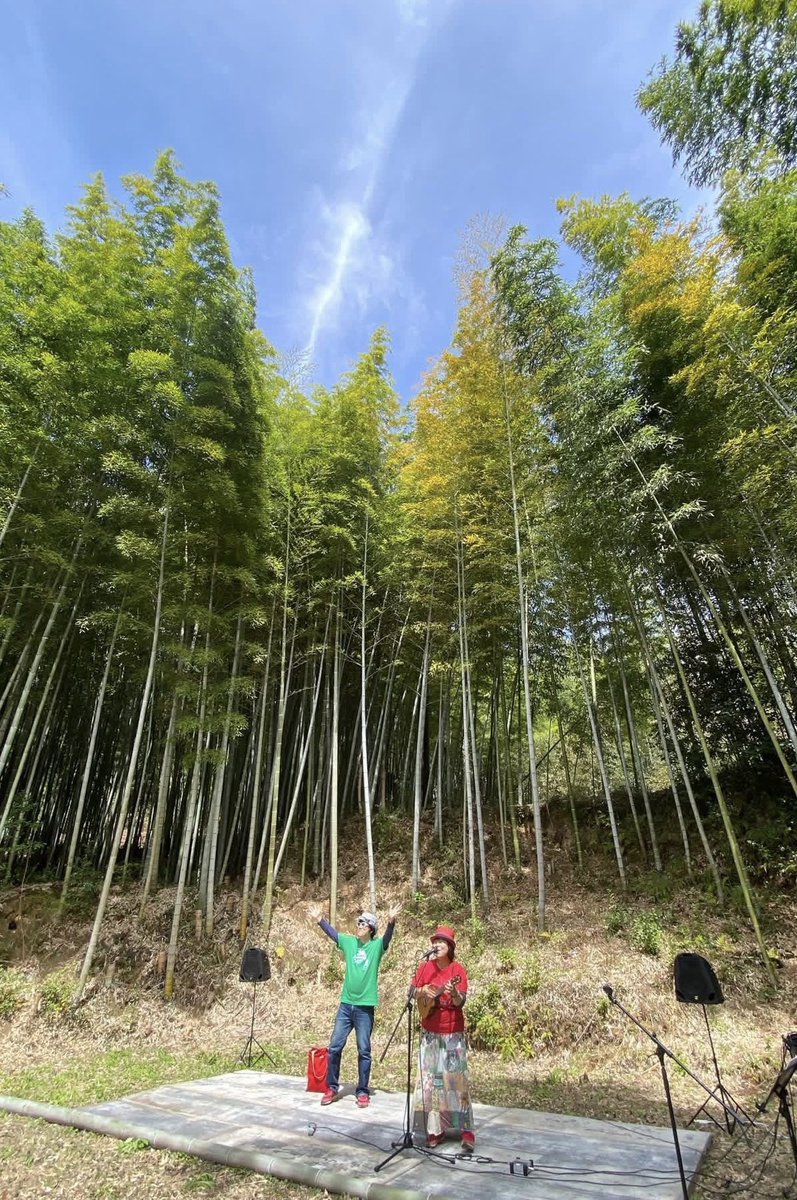 散策しながら進んで進んで
森の奥にある竹林ステージ
自然の音や空気もLIVEやな