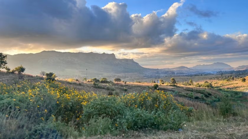 theGEF's tweet image. Restoring millions of hectares starts with better data 🌍

With support from @theGEF’s #LDCF, @WorldBankGroup’s NBS Invest platform is helping #Malawi 🇲🇼 map degraded land and guide restoration at scale.

Read more: wrld.bg/bQVE50YzpxW

#NatureBasedSolutions #LandRestoration