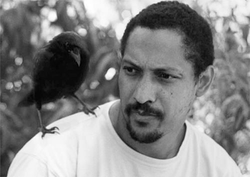 The Paris Review tweet media