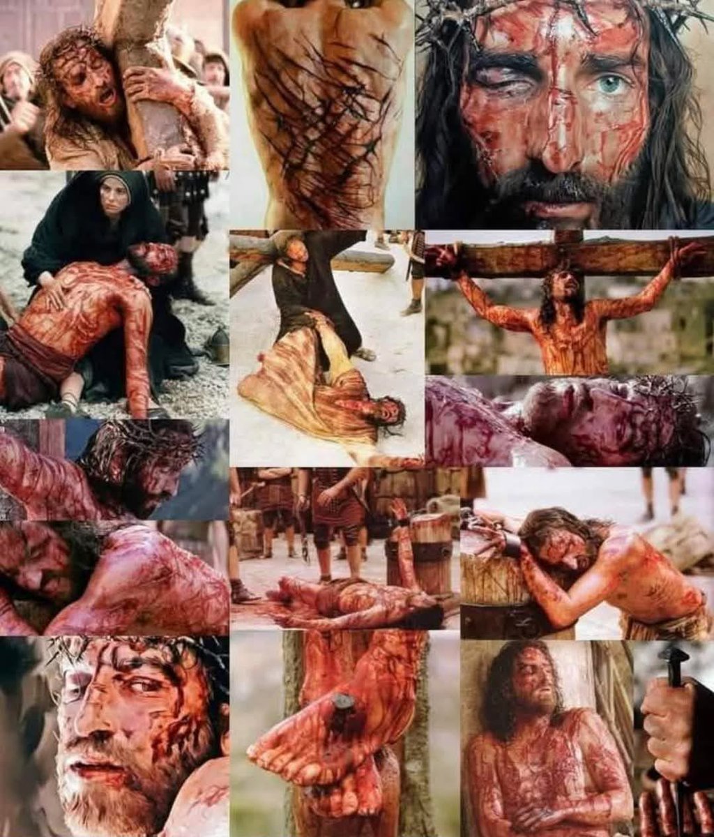 Amir ✝️👑⛪️📖✨️ tweet media